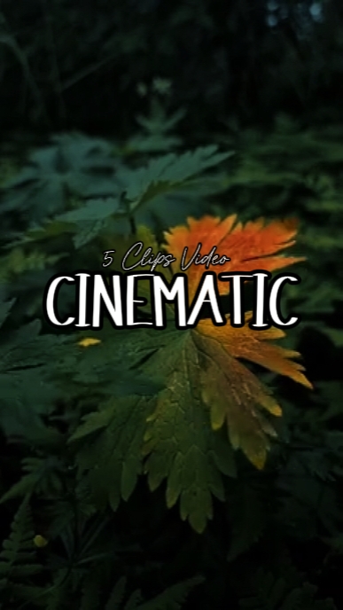 5 Videos Cinematográficos 
