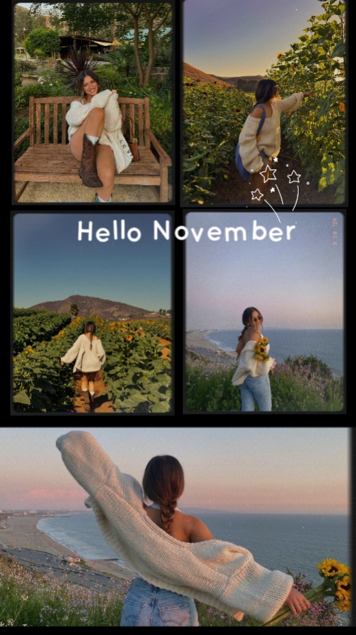 Olá novembro 