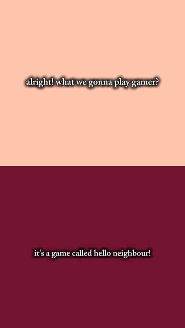 HELLO NEIGHBOUR 