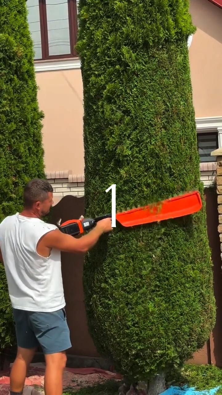 Berkebun