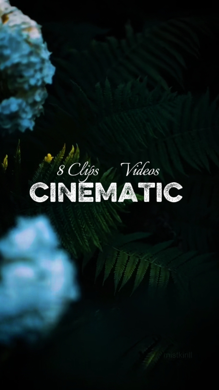8 Clips Cinématique 