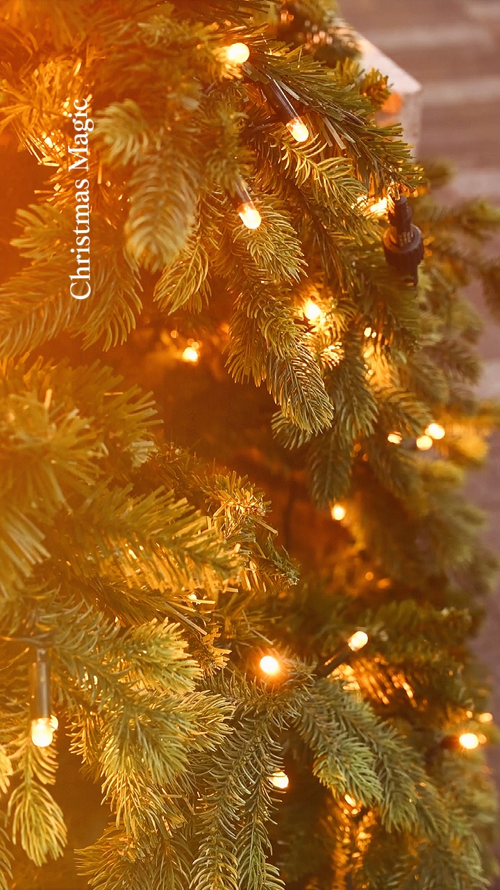 Magie de Noël❤️