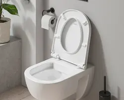 Toilet memes