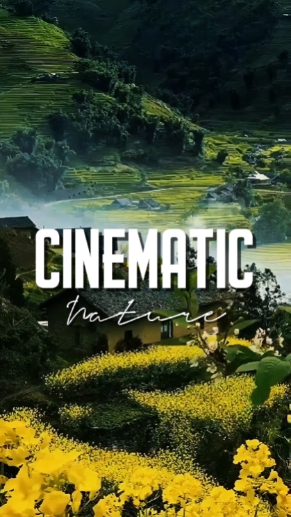 CINEMATIC NATURE 
