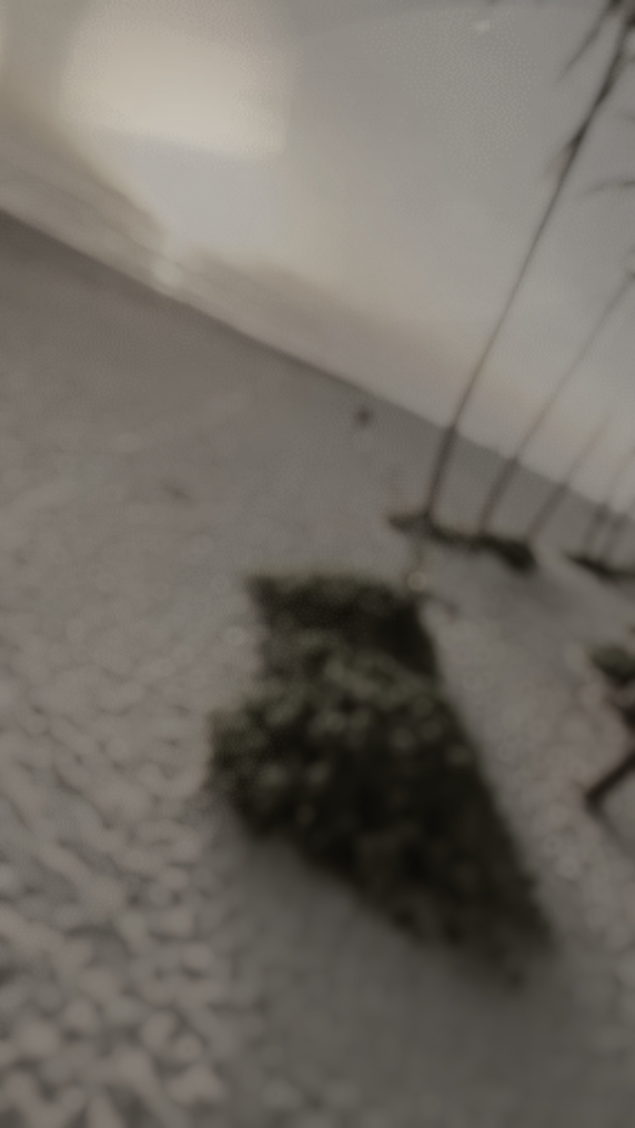 slowmotion