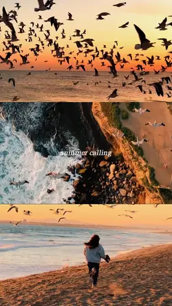 Summer is calling