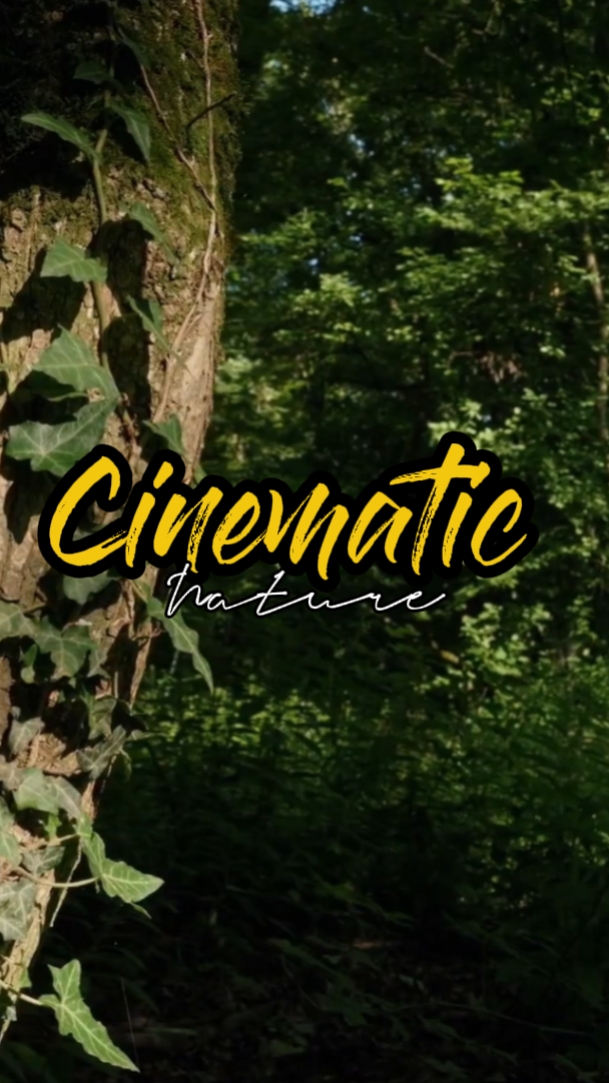 Natureza cinematográfica 