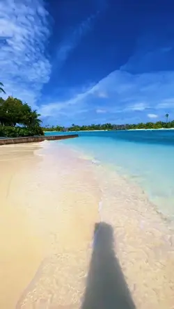 Paradise 