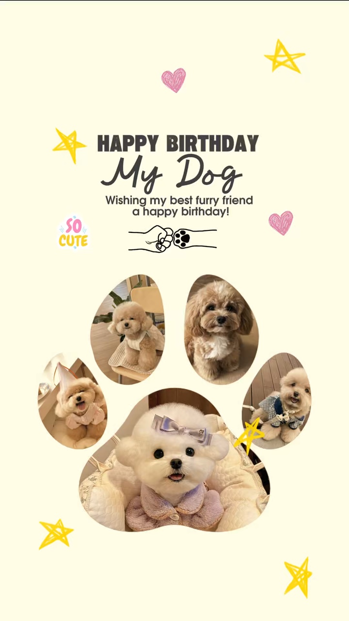 Birthday My Dog 