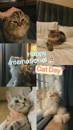 International CatDay