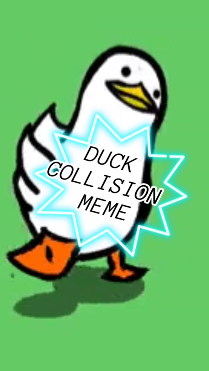 Colisión de patos 