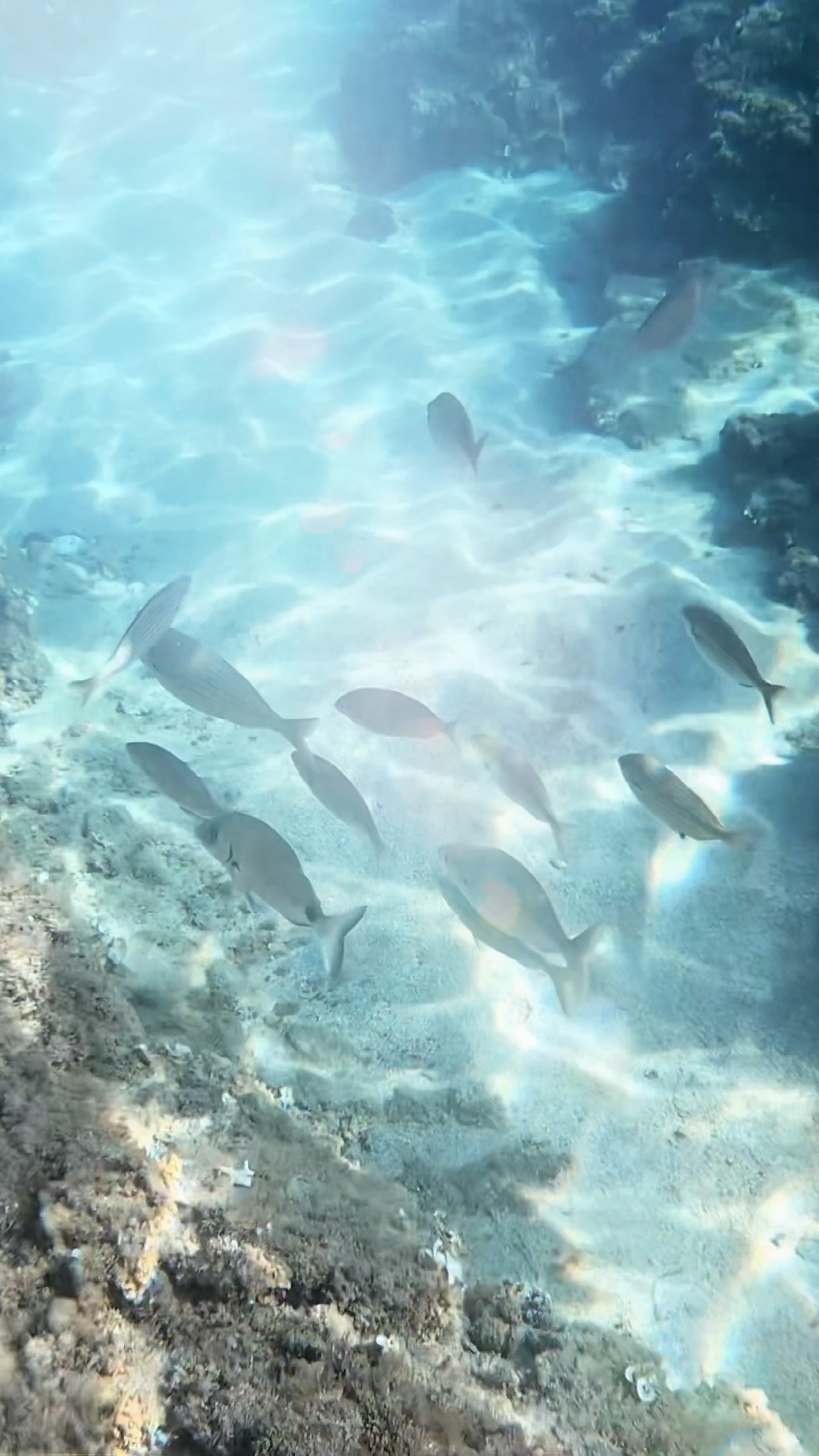 Underwater