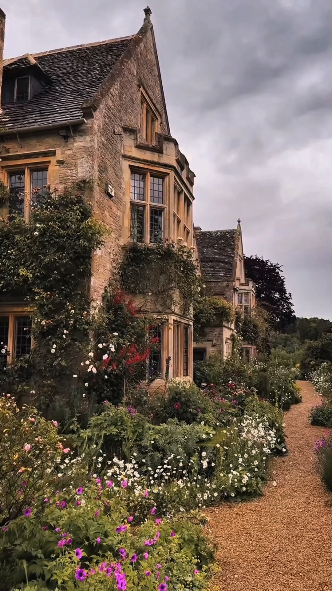 MINI VLOG🏠