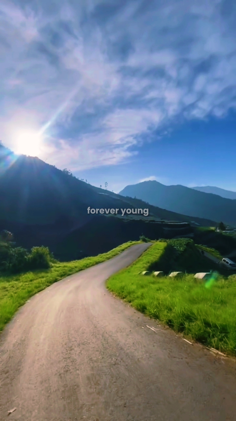 FOREVER YOUNG SLOWMO