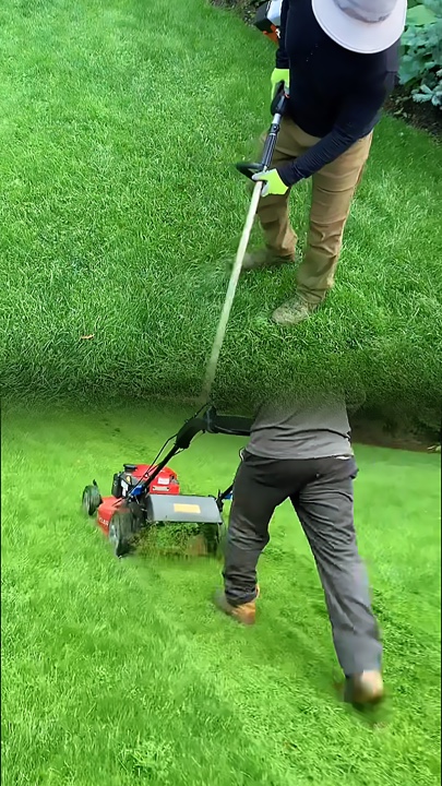 Jardinería