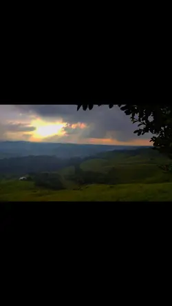 Adios25