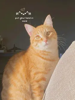 CUTE