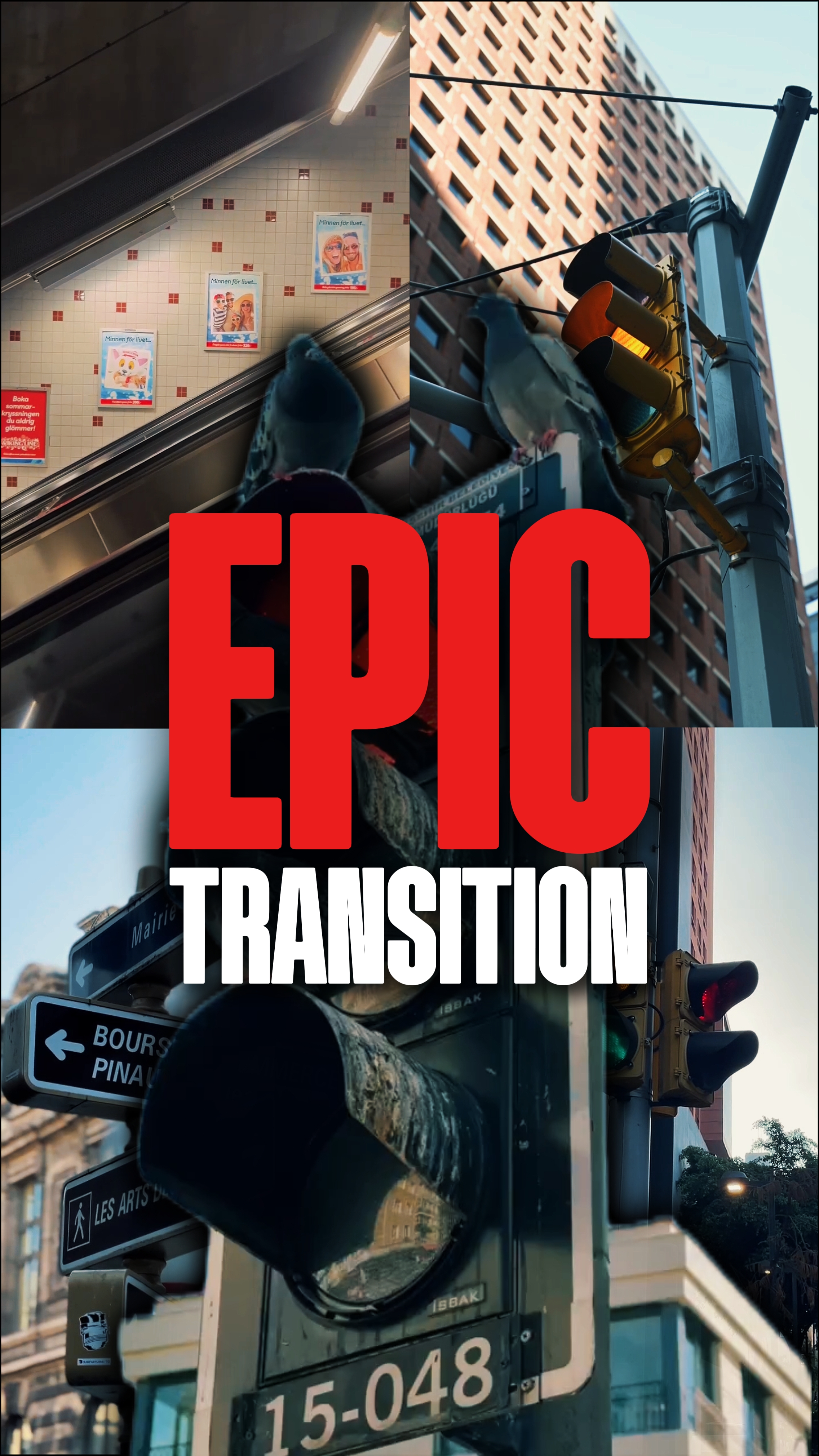 EPIC TRANSITION 4K