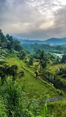 View Nature