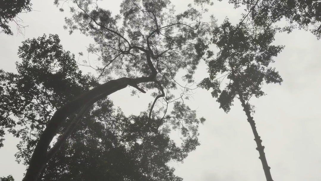 movie vibes