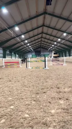 horse