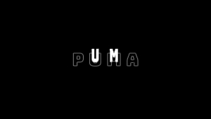 LOGOTIPO DE APERTURA 