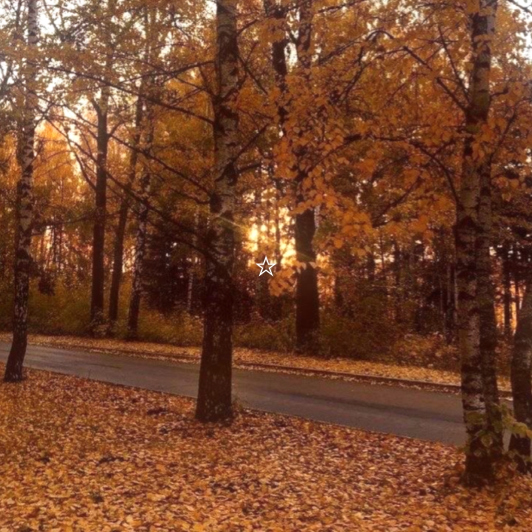 Automne édit 