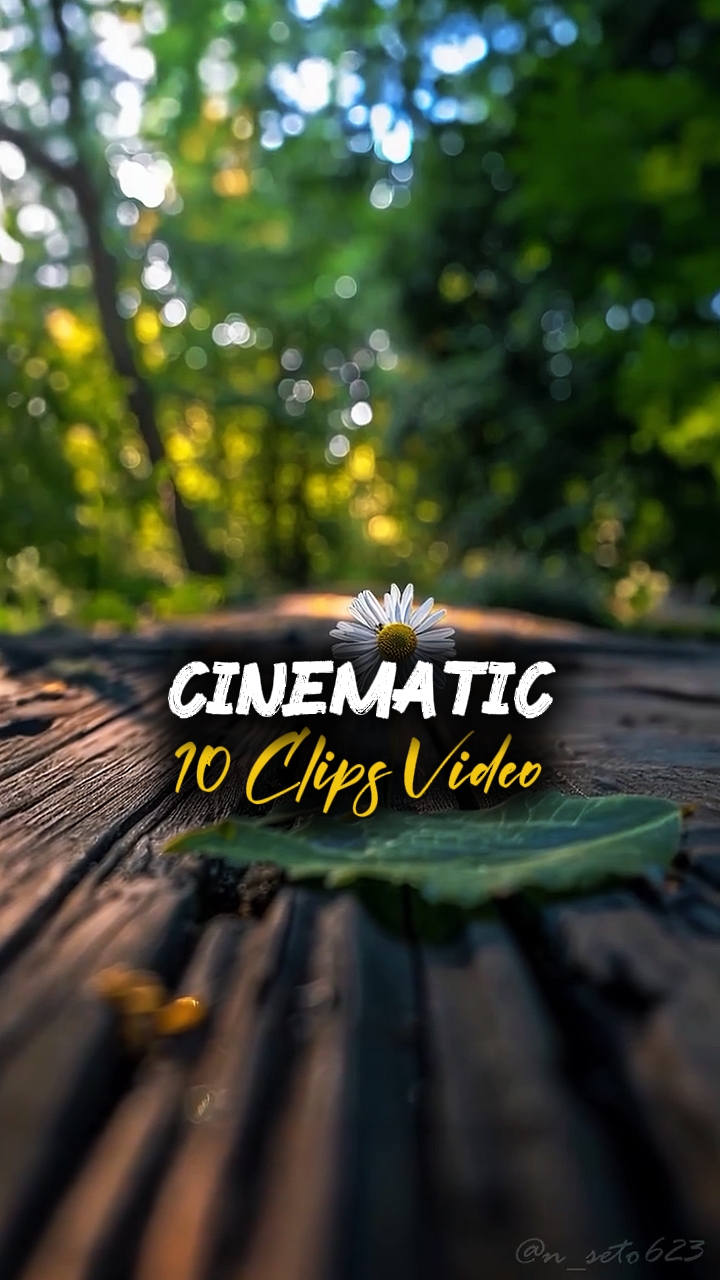 10 CLIPS VIDÉO 