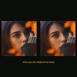 Shape of my heart 