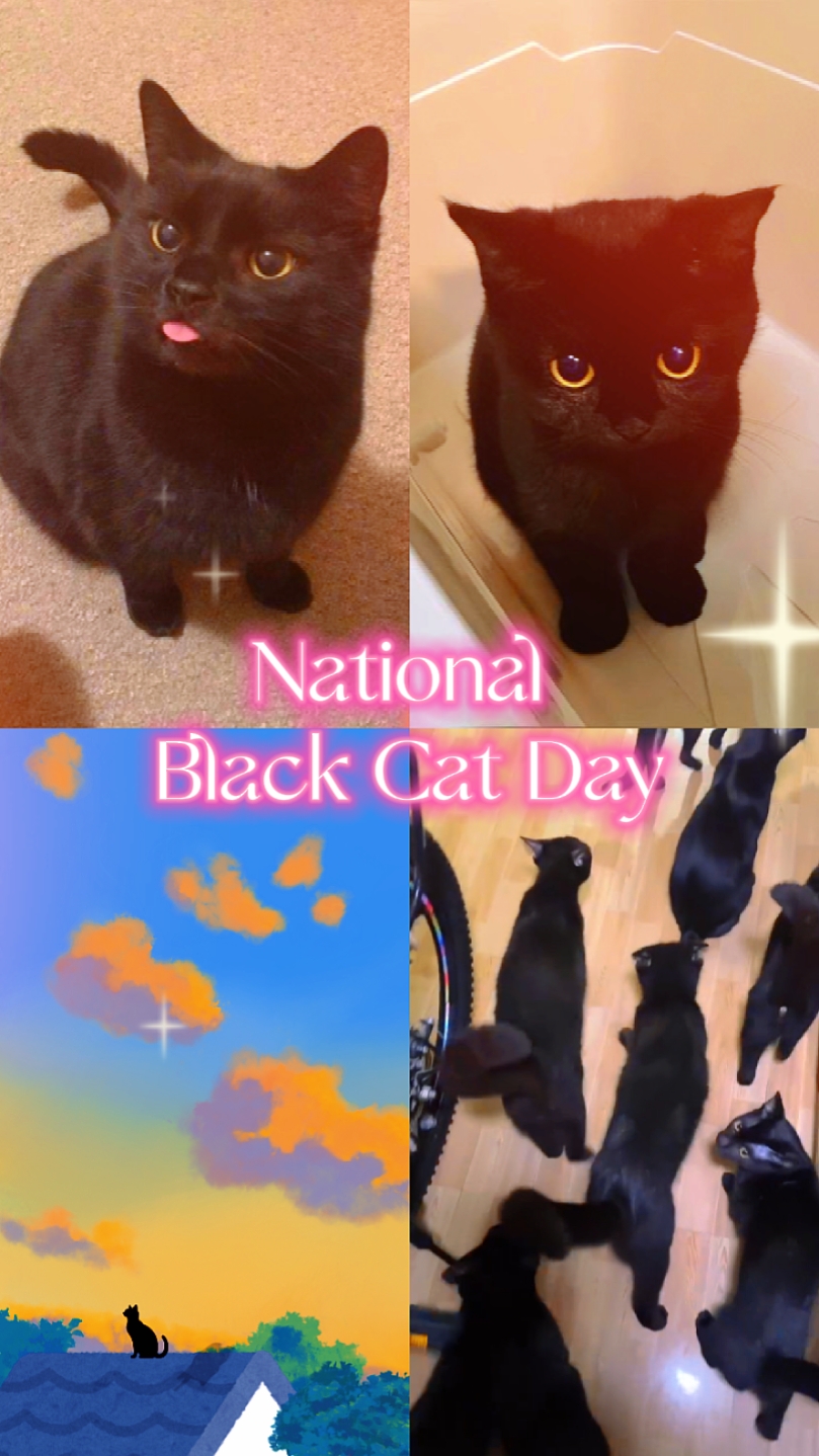 Día del Gato Negro