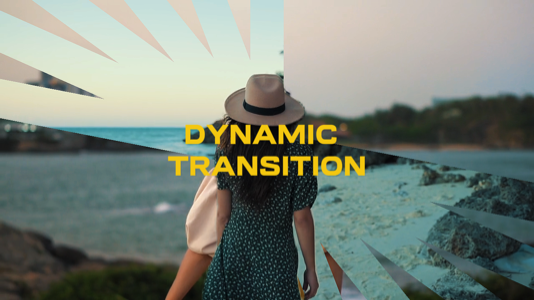 Dynamic Transition