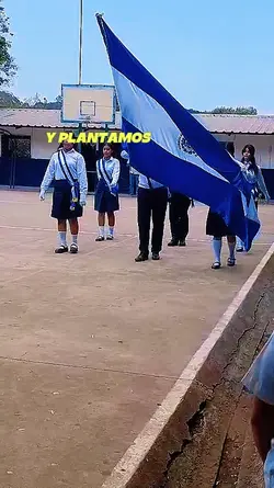 Lo sacamos