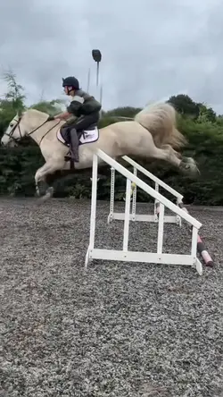 super cob!