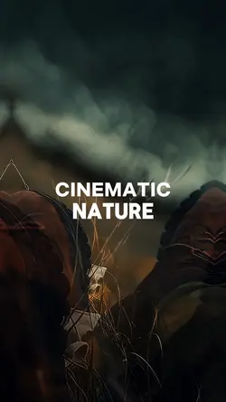 Cinematic nature 