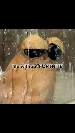 new viral video