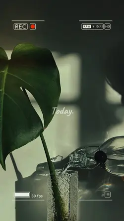Today plant vlog