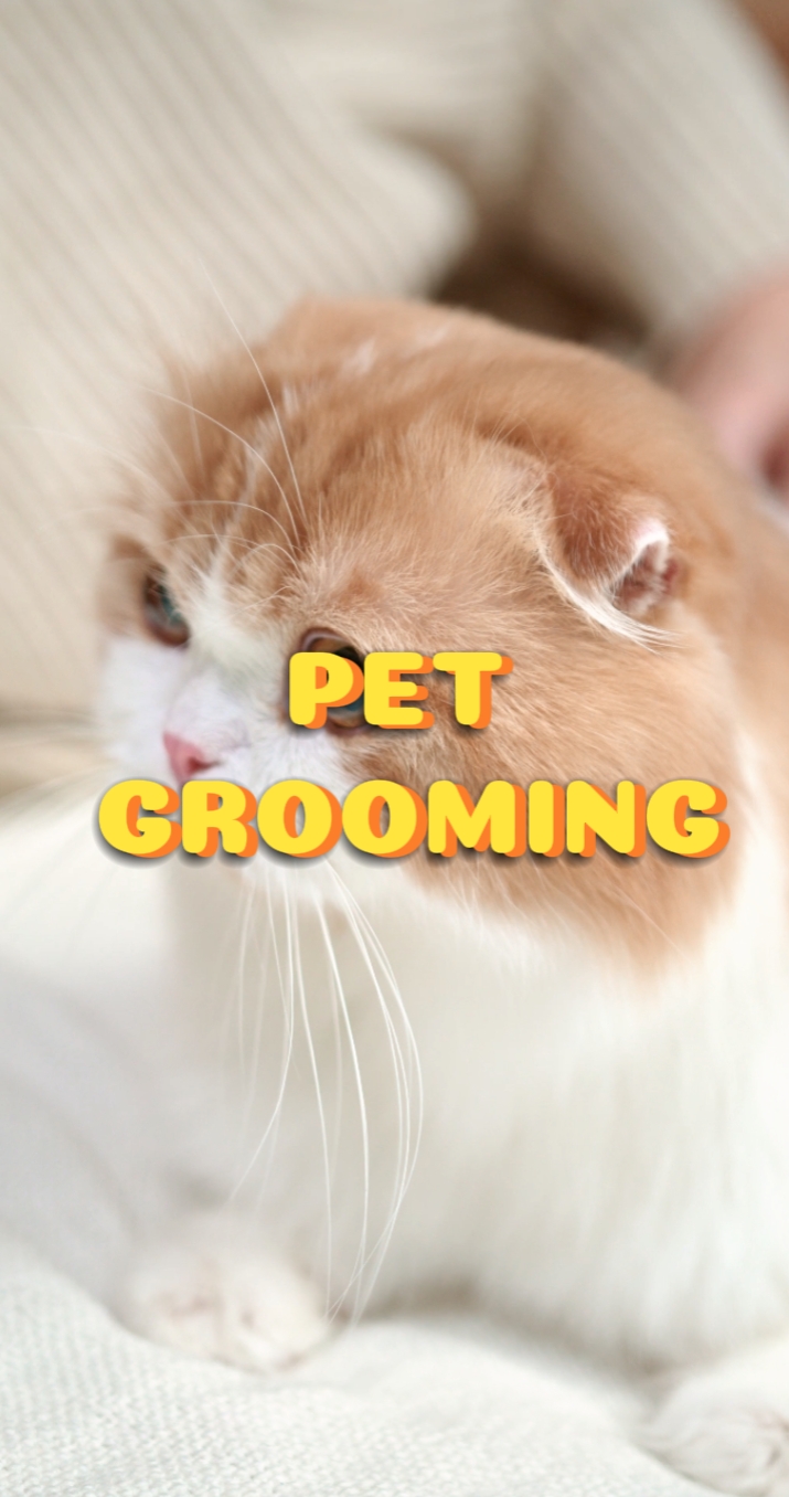 Pet Grooming