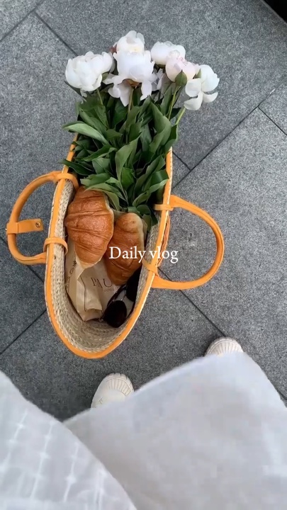 Vlog diario