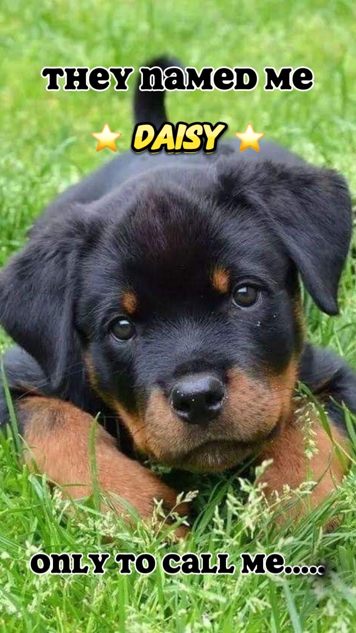 Das ist nicht mein Name 