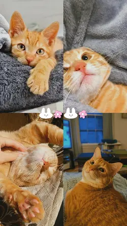 cute