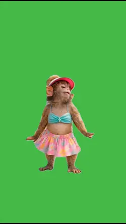 Dancing monkey