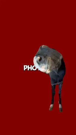 horse template 
