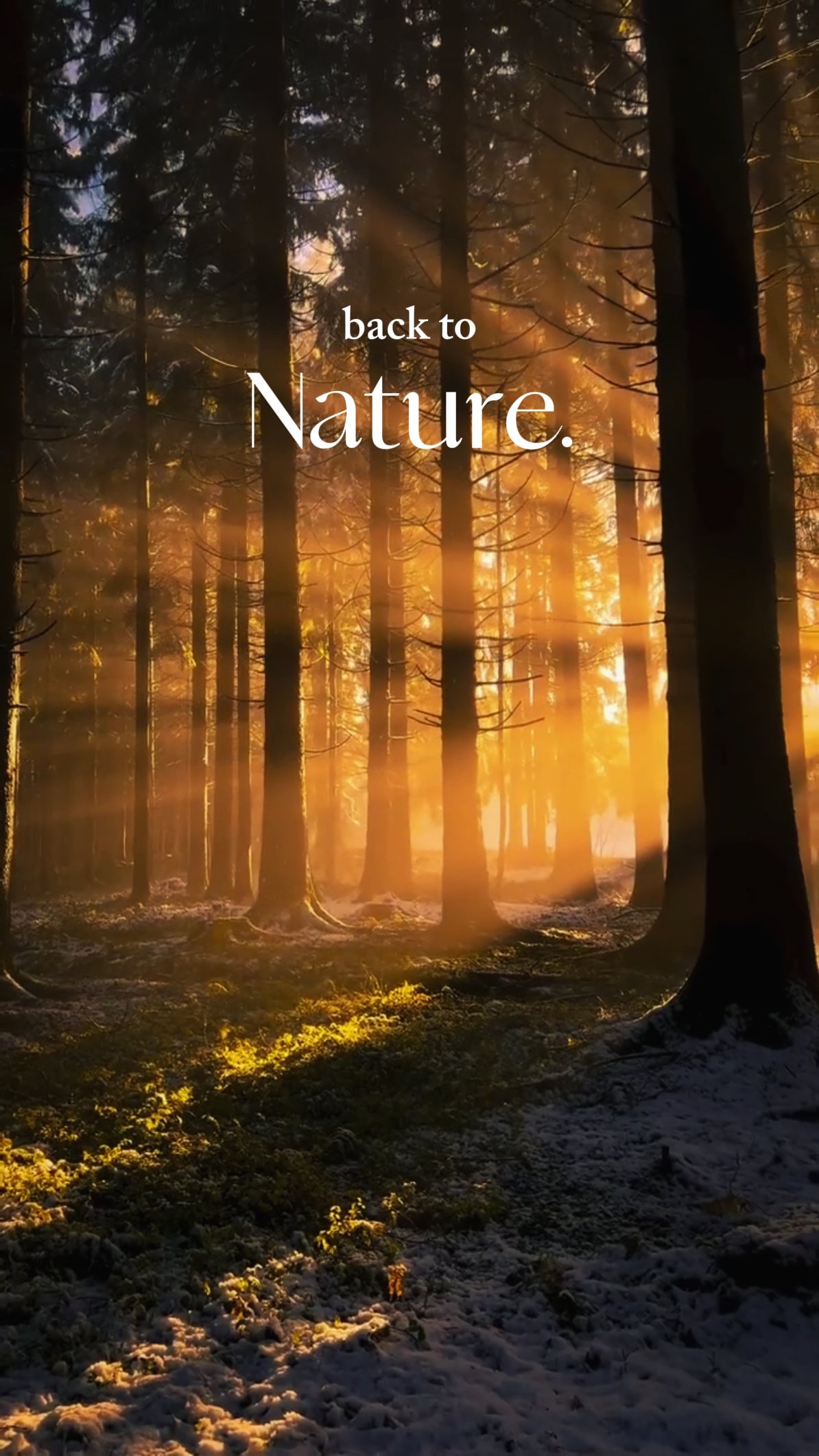 De vuelta a la naturaleza