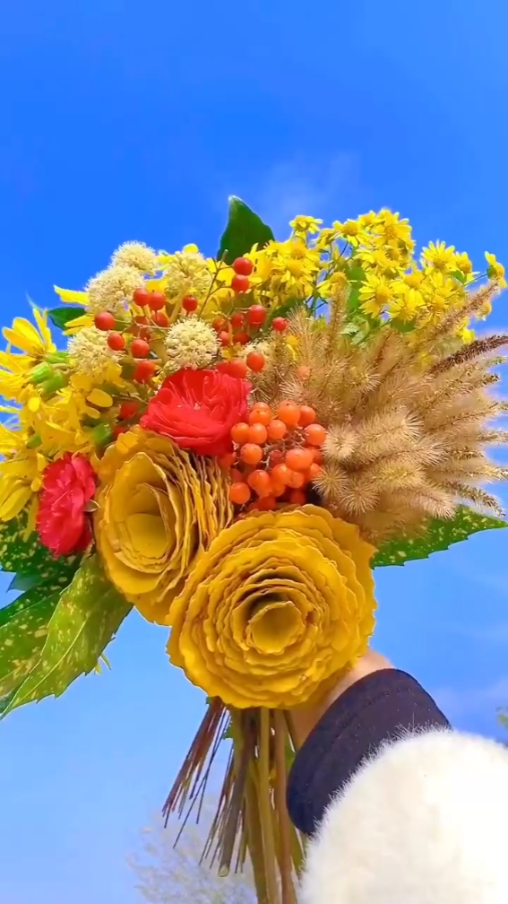 Vlog de flores