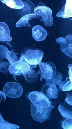 自分自身を信じよう！