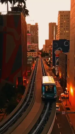 7 video or photo 