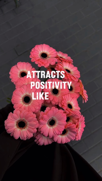 Positividad 