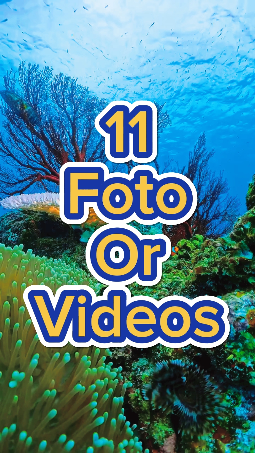 11 Foto slayt