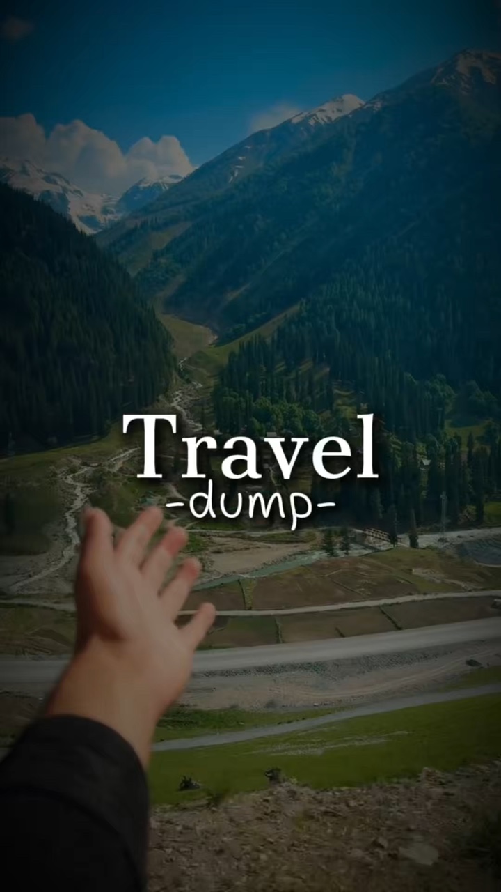 TRAVEL DUMP TEMPLATE