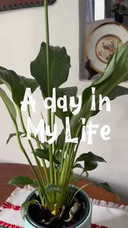 Daily life